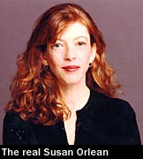 adaptation susan orlean orchid thief