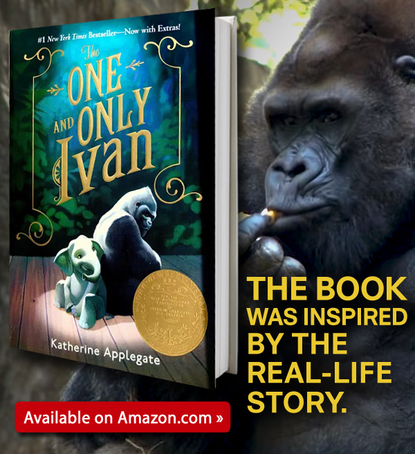 The One and Only Ivan, by Katherine Applegate