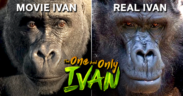 The One and Only Ivan vs. the True Story of Ivan the Gorilla