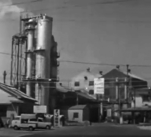 Minamata vs. the True Story of W. Eugene Smith and the Disaster