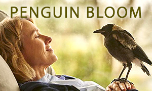 Penguin Bloom movie