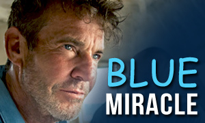 Blue Miracle movie