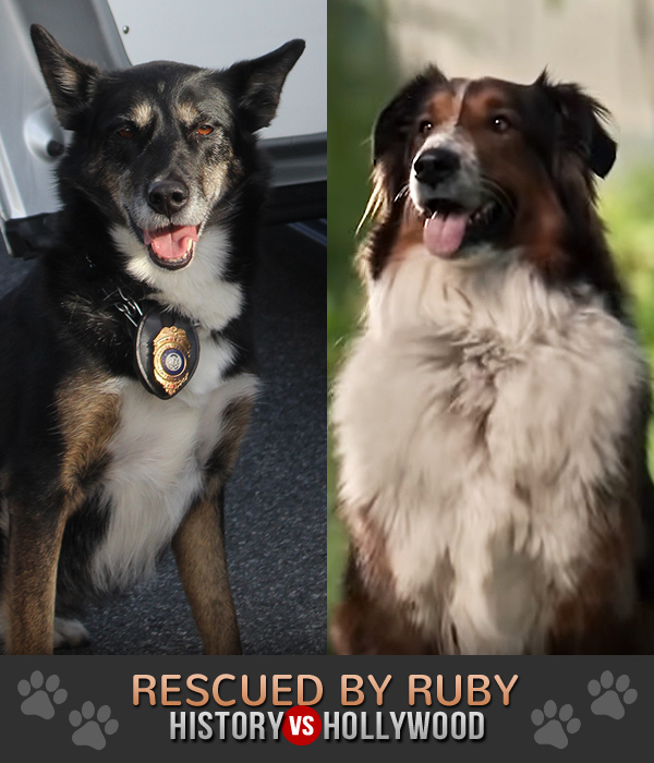 rescued by ruby