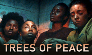 Trees of Peace movie