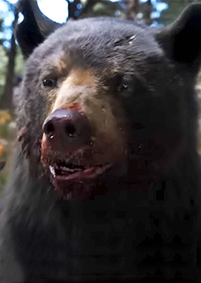 Cocaine Bear's Story Secretly Has A Much Deeper Meaning (Yes, Really!)